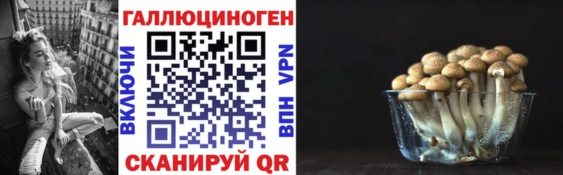 Купить где  Тамбов  Псилоцибиновые грибы мицелий 